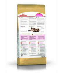  Royal Canin Maine Coon Kitten 2кг
